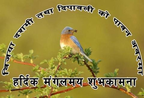 शुभ विजयादशमी, दिपावली र छठ